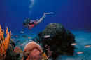 Diving, from Saint Croix Island
