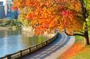Autumn Colours