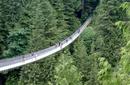 Capilano Suspension Bridge | by Flight Centre's Megan Coe