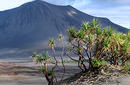 Mt Yasur | by Flight Centre's Cade Bond