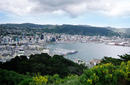 Wellington from Mt Victoria Lookout | by Flight Centre&#039;s Tiffany Apatu