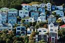 Houses cling to the side of Mt Victoria | by Positively Wellington Tourism WellingtonNZ.com