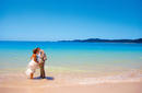 A Whitsunday Wedding