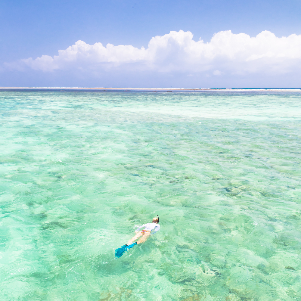 shutterstock_270035411